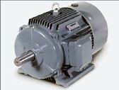 貝得1TL0高效電機